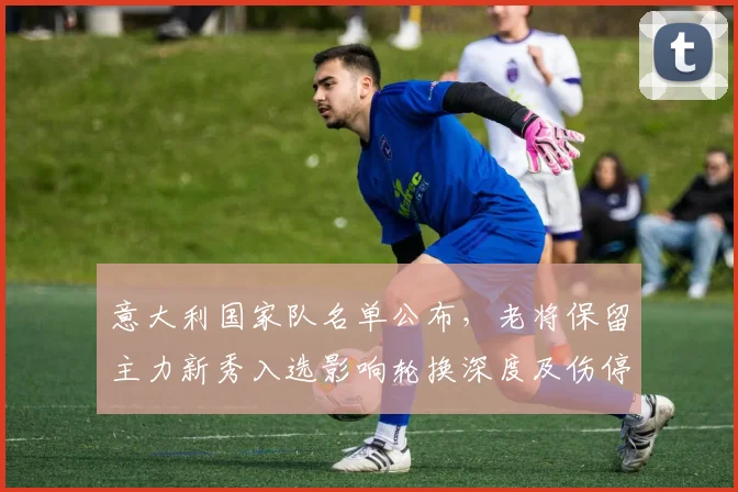 意大利国家队名单公布,老将保留主力新秀入选影响轮换深度及伤停情况