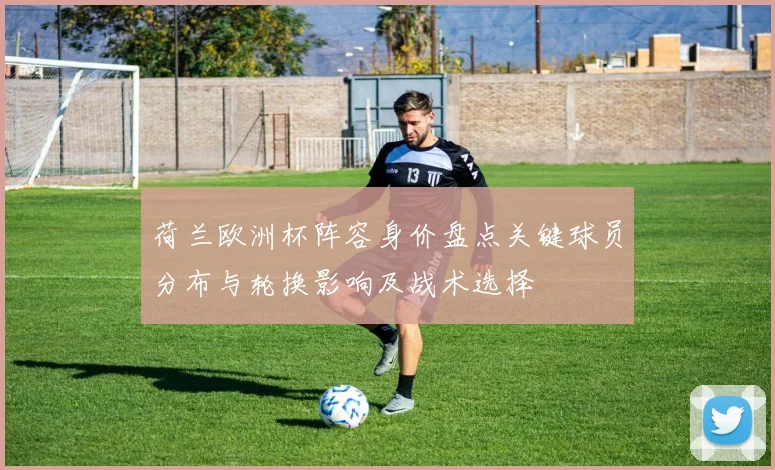 荷兰欧洲杯阵容身价盘点关键球员分布与轮换影响及战术选择