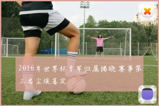 2016年世界杯季军归属揭晓 赛事第三名尘埃落定