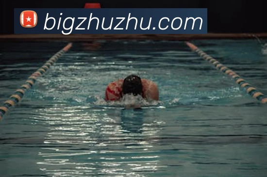 乐竞体育官方官网平台生态图